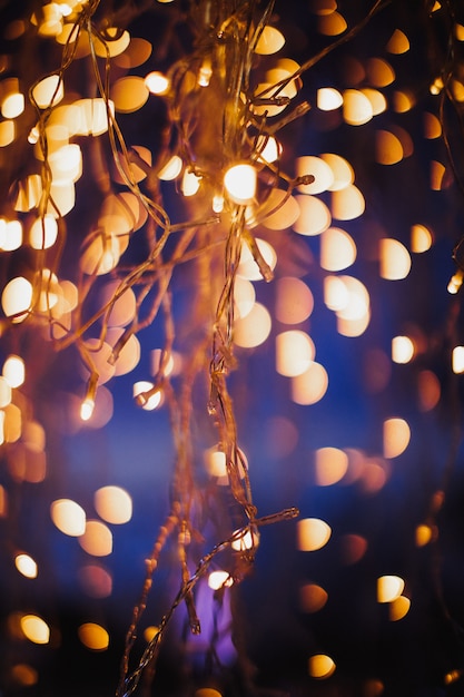 34 Fairy Lights Wallpapers  Wallpaperboat