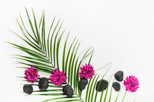 Decoration made with palm leaf; aster flowers and spa stones on white backdrop