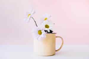 無料写真 マグカップの花の装飾