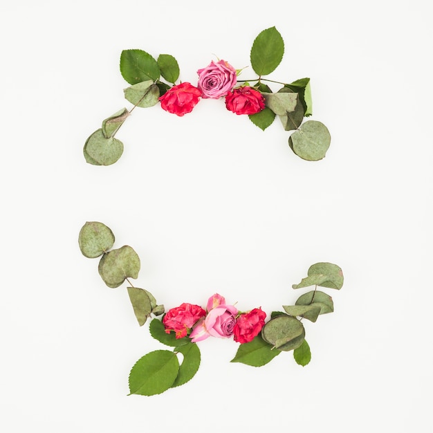 Free photo decoration of roses and leaves on white backdrop