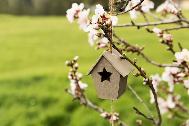 Decoration of small wooden house in a tree