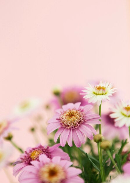 Decoration with colorful spring flowers