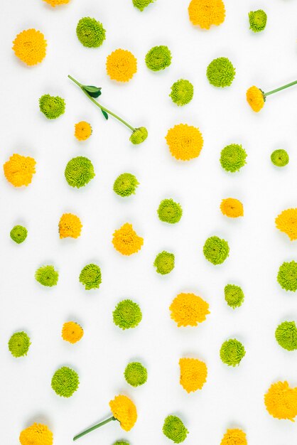 Decoration on yellow and green flower on white backdrop