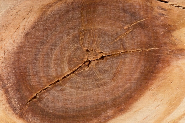 Бесплатное фото Декоративный фон из фактуры дерева