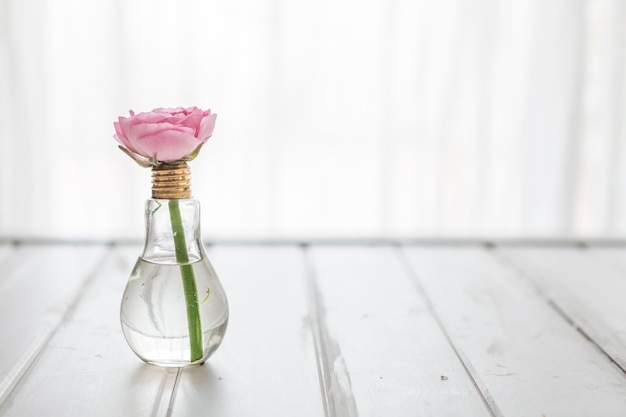 Decorative background with flower on a light bulb