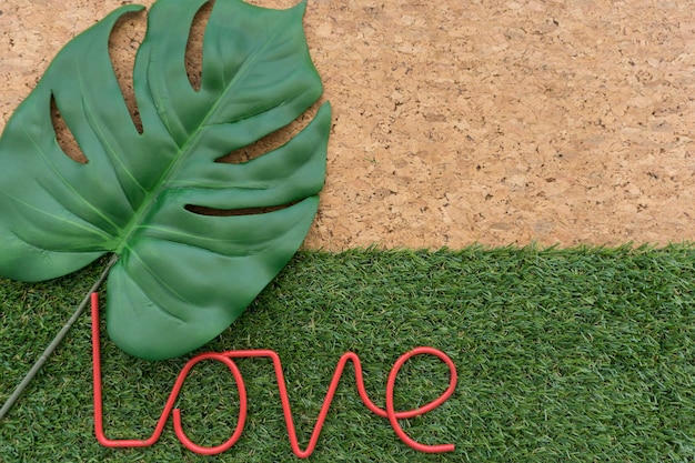 Free photo decorative background with leaf and word love