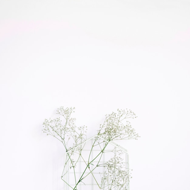 Foto gratuita sfondo decorativo con fiore bianco