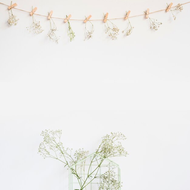 Decorative background with wildflower