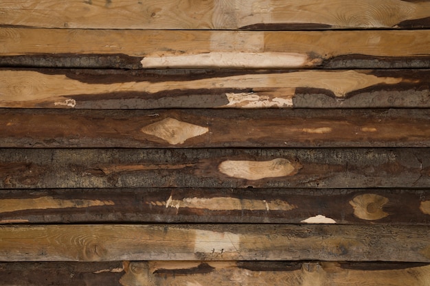 Decorative background of wood texture