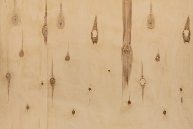 Decorative background of wood texture