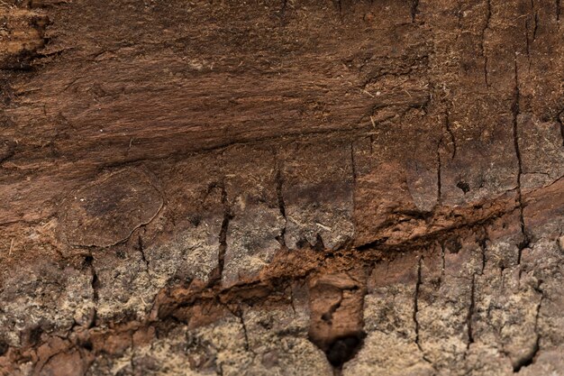 Decorative background of wood texture