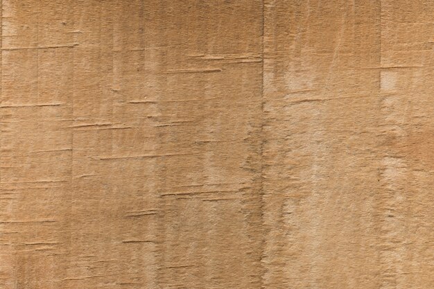 Decorative background of wood texture