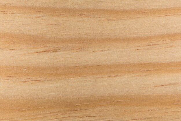 Decorative background of wood texture