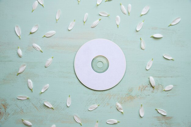 장식용 CD 이랑