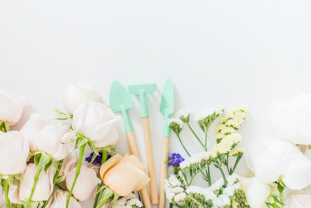 Decorative colorful roses on a background