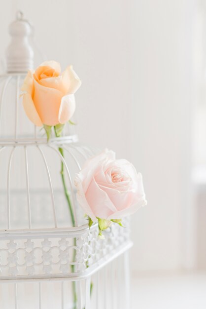 Decorative colorful roses in a cage