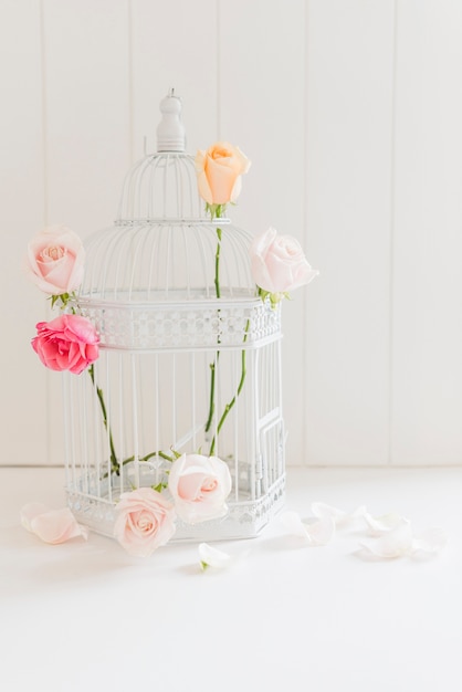 Free photo decorative colorful roses in a cage