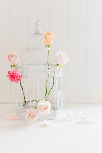 Decorative colorful roses in a cage