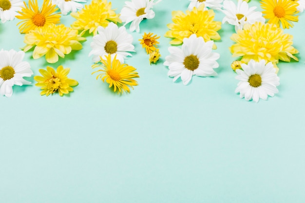 Decorative daisy flowers