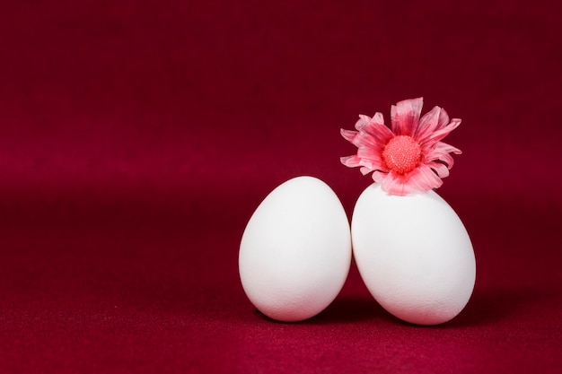 Decorative eggs on burgundy background