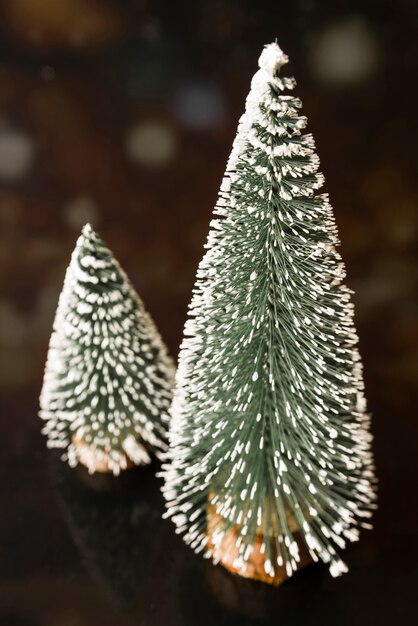 Decorative fir trees on black board