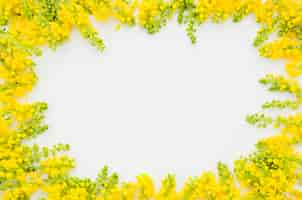 Free photo decorative floral frame