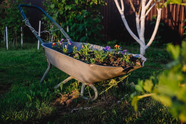 Foto gratuita giardino fiorito decorativo con carrelli presso il resort