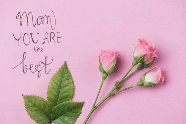 Decorative flowers and leaves on pink surface for mother's day