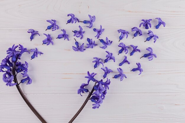 Decorative flowers