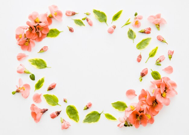 Decorative frame of flowers