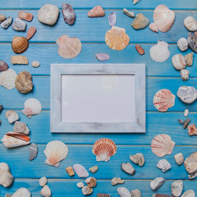 Decorative frame and seashells on wooden surface