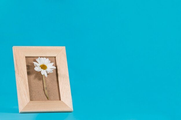 Decorative frame with daisy on blue background