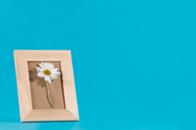 Decorative frame with daisy on blue background