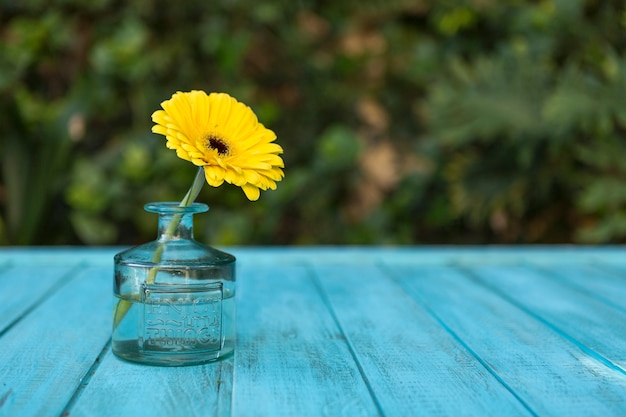 Foto gratuita vaso di vetro decorativo con margherita gialla all'aperto