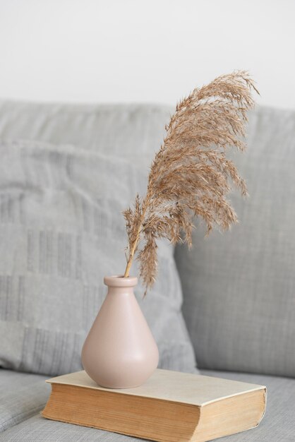 Decorative home plant in vase arrangement