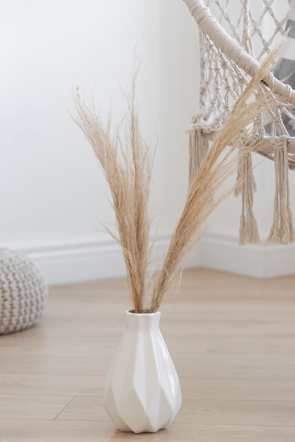 Decorative home plant in vase arrangement