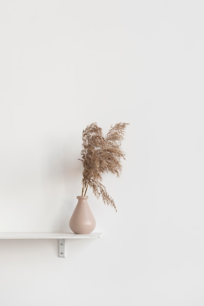 Decorative home plant in vase composition