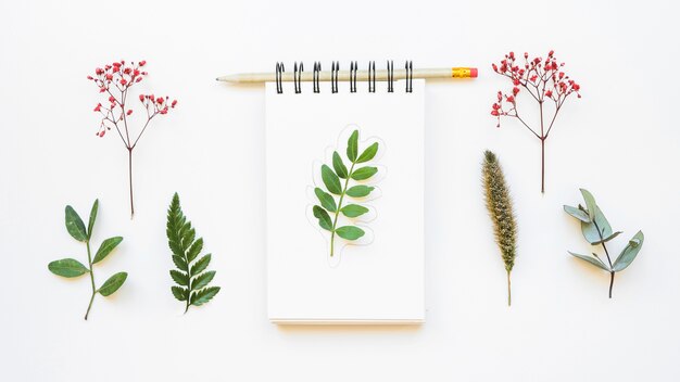 Decorative notepad concept with leaves