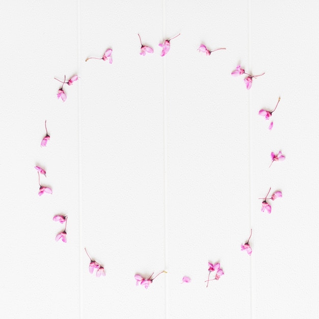 Decorative petals flowers in a circular shape
