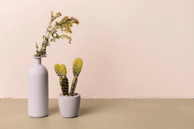 Декоративное растение внутри минимальной вазы