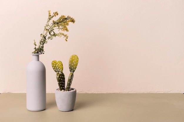 最小限の花瓶の中の装飾的な植物