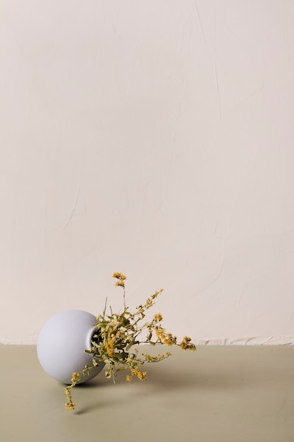 Foto gratuita pianta decorativa all'interno di vaso minimale
