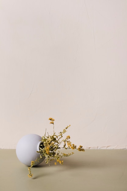 Decorative plant inside minimal vase