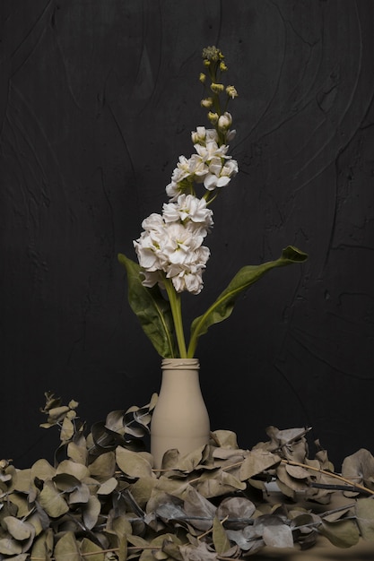 Decorative plant inside minimal vase