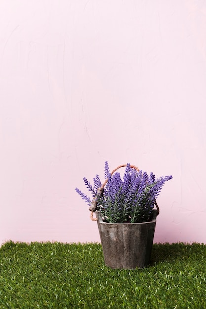 Foto gratuita pianta decorativa all'interno di vaso minimale