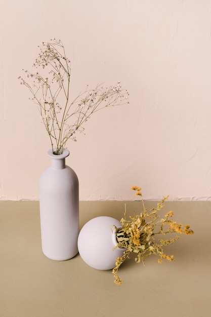 Decorative plant inside minimal vase