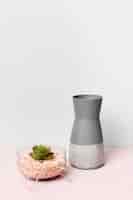 Free photo decorative plant inside minimal vase