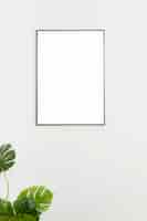 Free photo decorative plant with empty frame