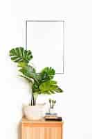 Free photo decorative plant with empty frame