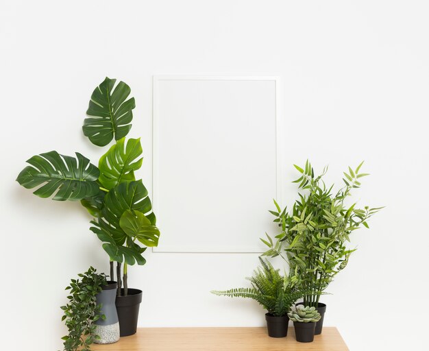 Decorative plant with empty frame